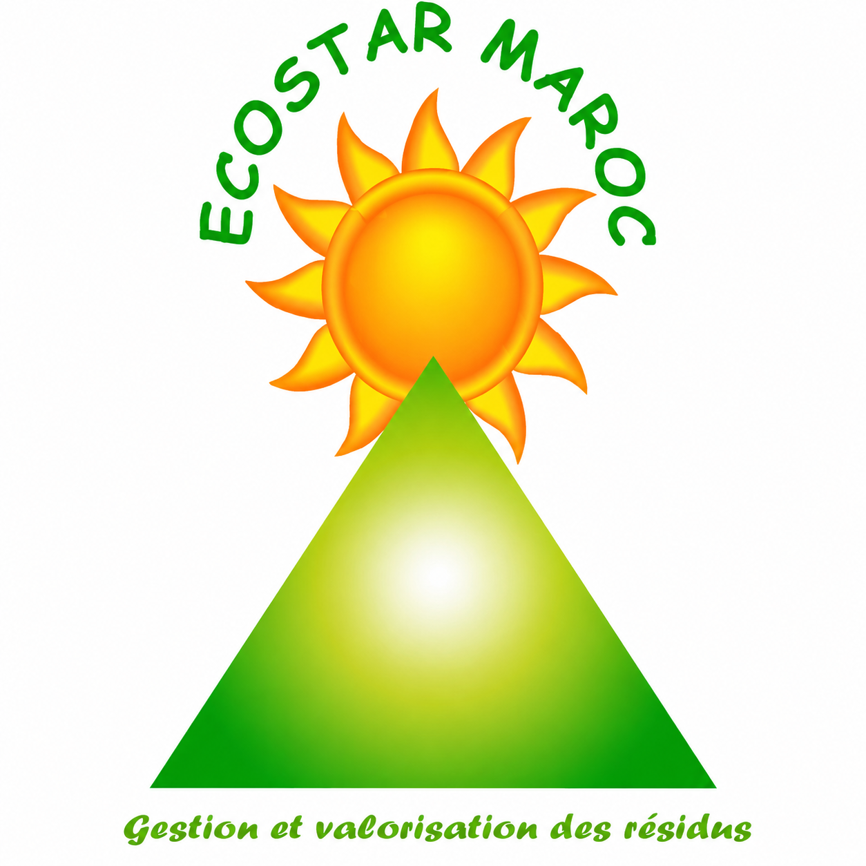 Logo ECOSTAR MAROC